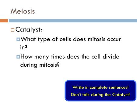 Meiosis Catalyst: What type of cells does mitosis occur in?