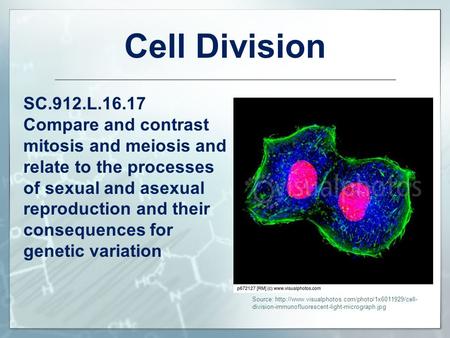 Cell Division SC.912.L.16.17 Compare and contrast mitosis and meiosis and relate to the processes of sexual and asexual reproduction and their consequences.