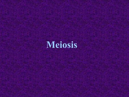 Meiosis.