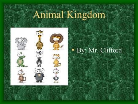 Animal Kingdom By: Mr. Clifford. Phylum- Chordate Chordate is a group of animals that include vertebrates and a few invertebrates All animals in the chordate.