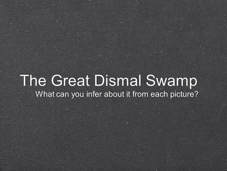 The Great Dismal Swamp What can you infer about it from each picture?