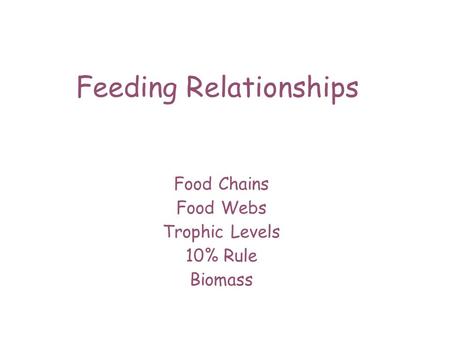 Feeding Relationships