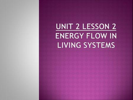 A single path that shows how each living thing gets it’s food. The flow of energy begins with the SUN and transfers through the chain. Always starts with.