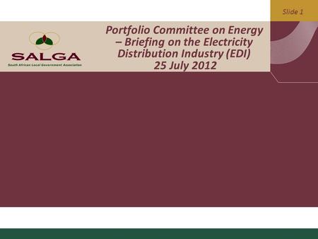 Slide 1 Portfolio Committee on Energy – Briefing on the Electricity Distribution Industry (EDI) 25 July 2012.