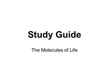 Study Guide The Molecules of Life.