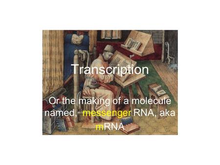 Transcription Or the making of a molecule named, messenger RNA, aka mRNA.