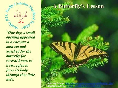 A Butterfly’s Lesson ”One day, a small opening appeared in a cocoon; a man sat and watched for the butterfly for several hours as it struggled to force.