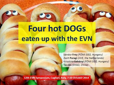 Four hot DOGs eaten up with the EVN Sándor Frey (FÖMI SGO, Hungary) Zsolt Paragi (JIVE, the Netherlands) Krisztina Gabányi (FÖMI SGO, Hungary) Tao An (SHAO,