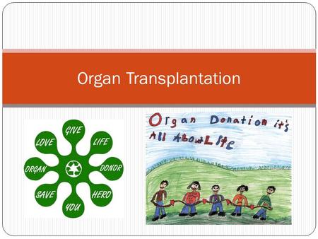 Organ Transplantation