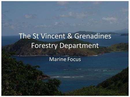 The St Vincent & Grenadines Forestry Department Marine Focus.