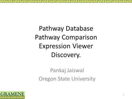 Pathway Database Pathway Comparison Expression Viewer Discovery. Pankaj Jaiswal Oregon State University 1.