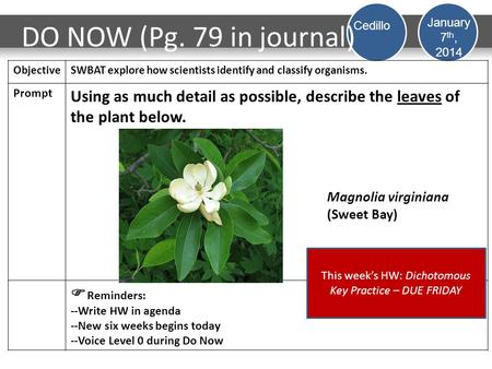 This week’s HW: Dichotomous Key Practice – DUE FRIDAY