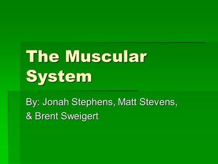 The Muscular System By: Jonah Stephens, Matt Stevens, & Brent Sweigert.