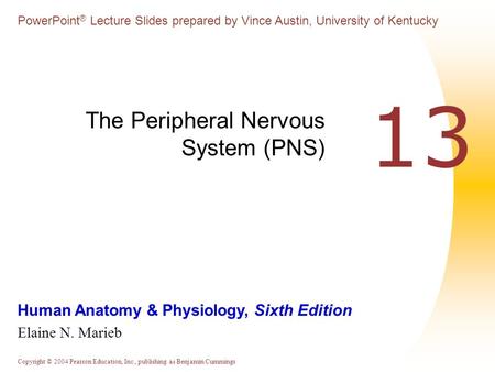 Copyright © 2004 Pearson Education, Inc., publishing as Benjamin Cummings Human Anatomy & Physiology, Sixth Edition Elaine N. Marieb PowerPoint ® Lecture.