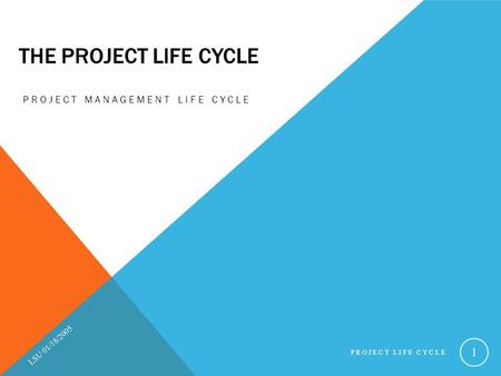 THE PROJECT LIFE CYCLE PROJECT MANAGEMENT LIFE CYCLE LSU 01/18/2005 PROJECT LIFE CYCLE 1.