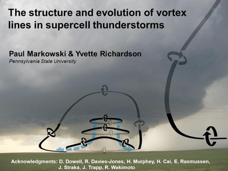 The structure and evolution of vortex lines in supercell thunderstorms