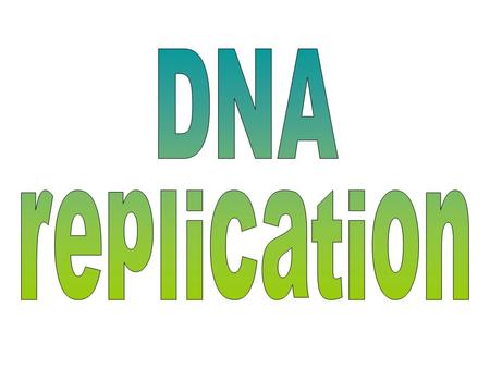 The work of Rosalyn Franklin using x-ray crystallography established the shape as an  helix.