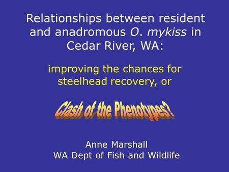 Relationships between resident and anadromous O. mykiss in Cedar River, WA: Anne Marshall WA Dept of Fish and Wildlife improving the chances for steelhead.