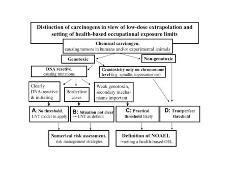 SCOEL and Carcinogens Group A: Non-threshold genotoxic carcinogens; for risk low-dose assessment the linear non-threshold (LNT) model appears appropriate.