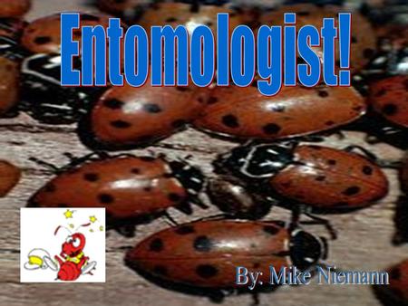 An Entomologist is a Zoologist specially dealing with the scientific study of insects. Entomologist comes from the Greek word “entomon” meaning ‘notched’