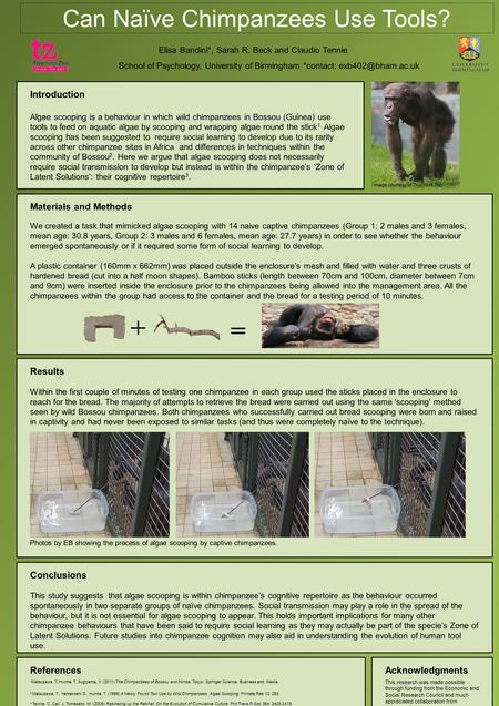 Introduction Algae scooping is a behaviour in which wild chimpanzees in Bossou (Guinea) use tools to feed on aquatic algae by scooping and wrapping algae.