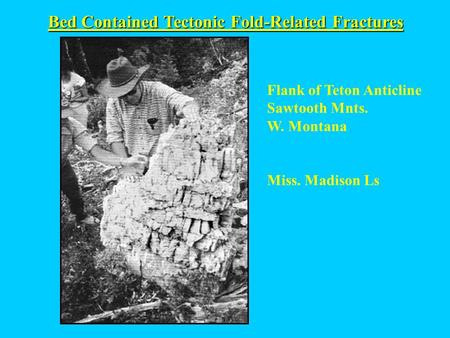 Bed Contained Tectonic Fold-Related Fractures Flank of Teton Anticline Sawtooth Mnts. W. Montana Miss. Madison Ls.