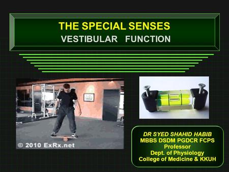 THE SPECIAL SENSES VESTIBULAR FUNCTION College of Medicine & KKUH