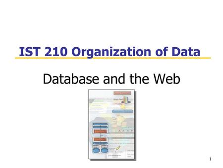 1 IST 210 Organization of Data Database and the Web.