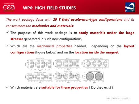 WP6: HIGH FIELD STUDIES The work package deals with 20 T field accelerator-type configurations and its consequences on mechanics and materials: The purpose.