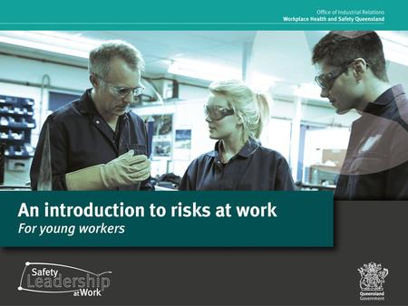 Overview At the end of this session, you should be able to answer the following questions: Why is work health and safety important? What is risk management?