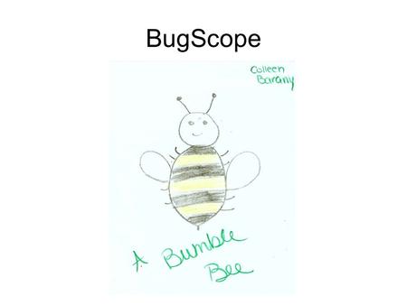 BugScope. What and Where? Bumble bees are large, hairy, and typically black and yellow. They collect and carry pollen on their hind legs to transfer it.