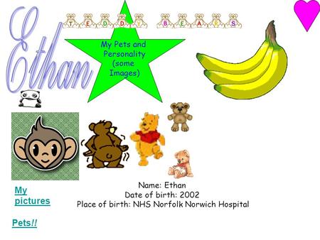 Name: Ethan Date of birth: 2002 Place of birth: NHS Norfolk Norwich Hospital Pets!! My pictures My Pets and Personality (some Images)