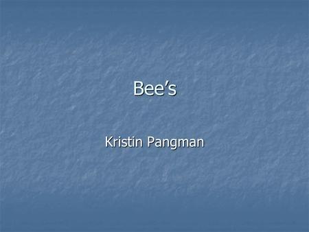 Bee’s Kristin Pangman. Bee’s Bee Drawings Before After.