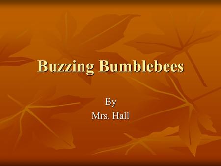 Buzzing Bumblebees By Mrs. Hall. Introduction Did you know when bumblebees first came to America? Did you know when bumblebees first came to America?