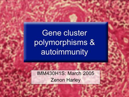 Slide 1 of 30 Gene cluster polymorphisms & autoimmunity IMM430H1S: March 2005 Zenon Harley.