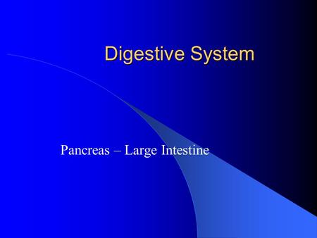 Digestive System Pancreas – Large Intestine. Pancreas (accessory) Location Pancreatic duct Islets.