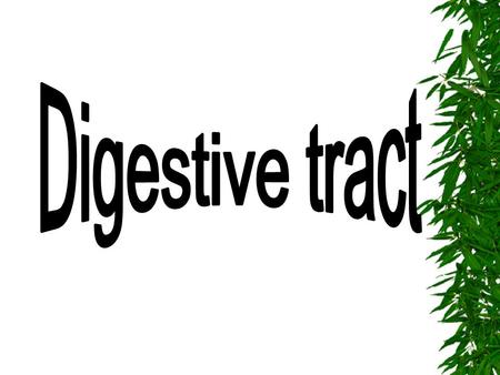 The digestive tract is a long, continuous tube of varying diameter extending from the lips to the anus. It includes oral cavity,esophagus, stomach,