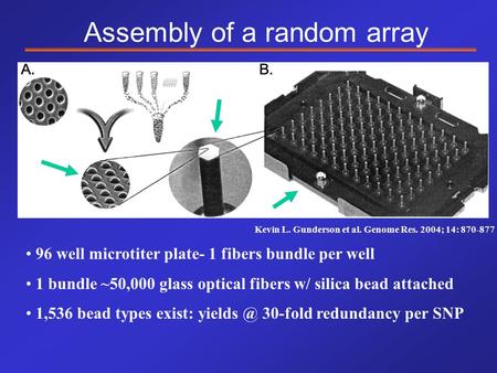 Kevin L. Gunderson et al. Genome Res. 2004; 14: 870-877 Assembly of a random array 96 well microtiter plate- 1 fibers bundle per well 1 bundle ~50,000.