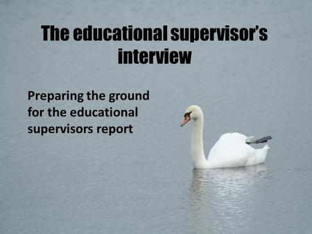 The educational supervisor’s interview Preparing the ground for the educational supervisors report.