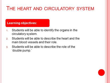 The heart and circulatory system