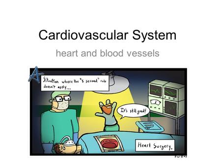 Cardiovascular System