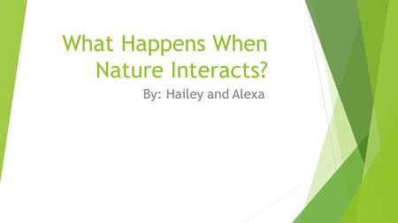 What Happens When Nature Interacts? By: Hailey and Alexa.