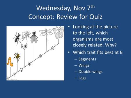 Wednesday, Nov 7 th Concept: Review for Quiz Looking at the picture to the left, which organisms are most closely related. Why? Which trait fits best at.