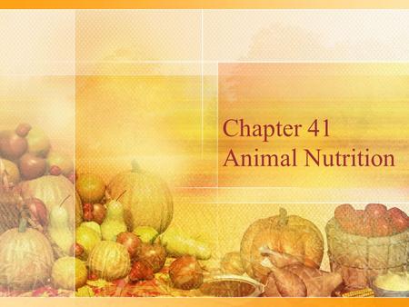 Chapter 41 Animal Nutrition. Types of Feeders Suspension feeders sift through water to obtain small food particles Fluid feeders suck nutrients from a.