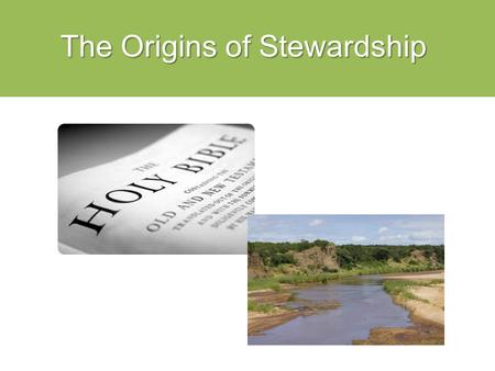 The Origins of Stewardship