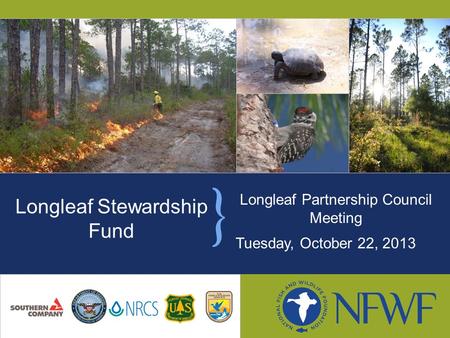 Longleaf Partnership Council Meeting Tuesday, October 22, 2013 Longleaf Stewardship Fund.