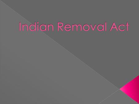 Based on the current living conditions of Americans and Natives was the Indian Removal Act justified?