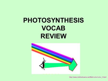 PHOTOSYNTHESIS VOCAB REVIEW