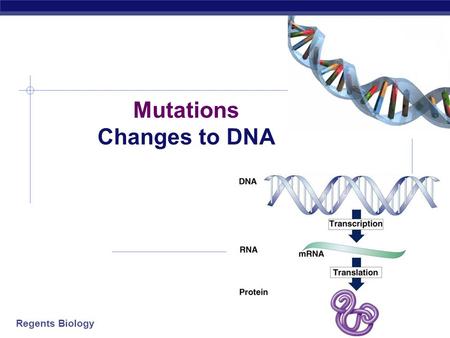 Mutations Changes to DNA