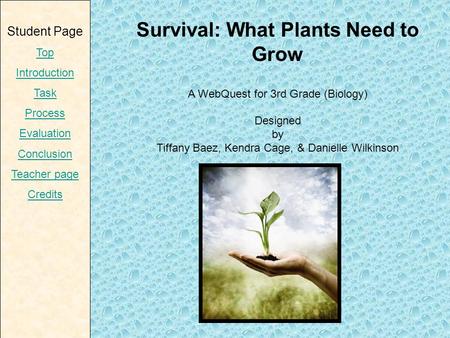 Survival: What Plants Need to Grow